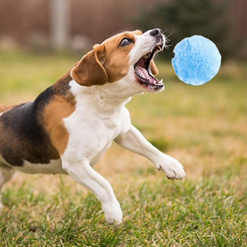 Fluffy Ball 4 em 1 - Compre 1 Bolinha e Leve 4 cases para mudando quando quiser