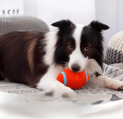 Brinquedo Bola Indestrutível para Pets com Costura Super Reforçada