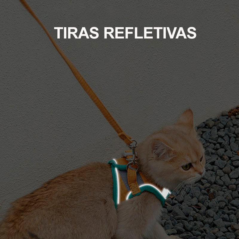 Coleira anti-fuga para gatos - Safe Cat