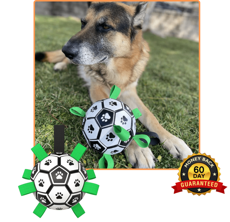 Soccer Ball Petz -  A escolha divertida para o seu cãozinho