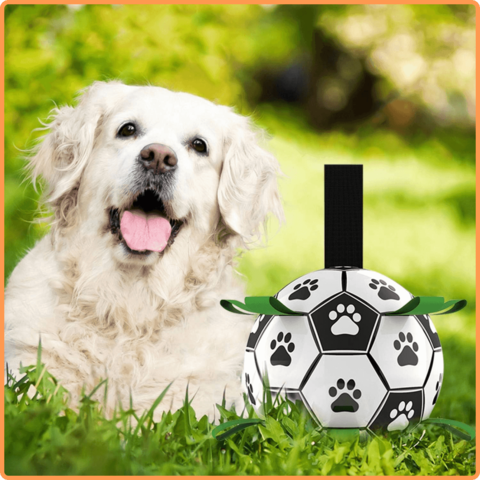 Soccer Ball Petz -  A escolha divertida para o seu cãozinho