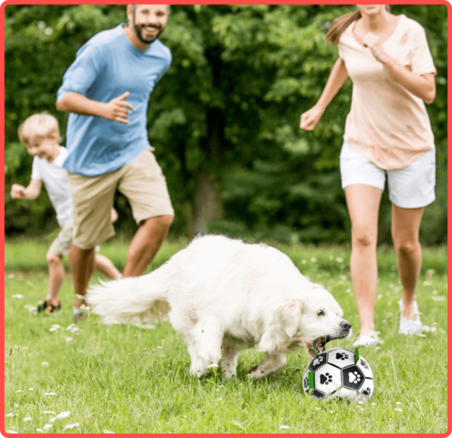 Soccer Ball Petz -  A escolha divertida para o seu cãozinho