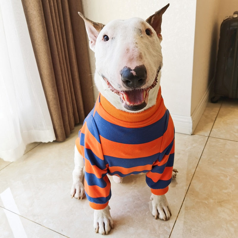 Roupa Bull Terrier Listradinha