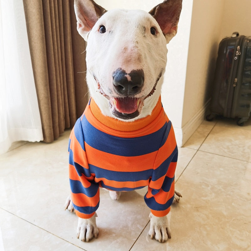 Roupa Bull Terrier Listradinha