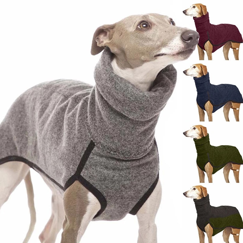 Roupa para Pet Galgo