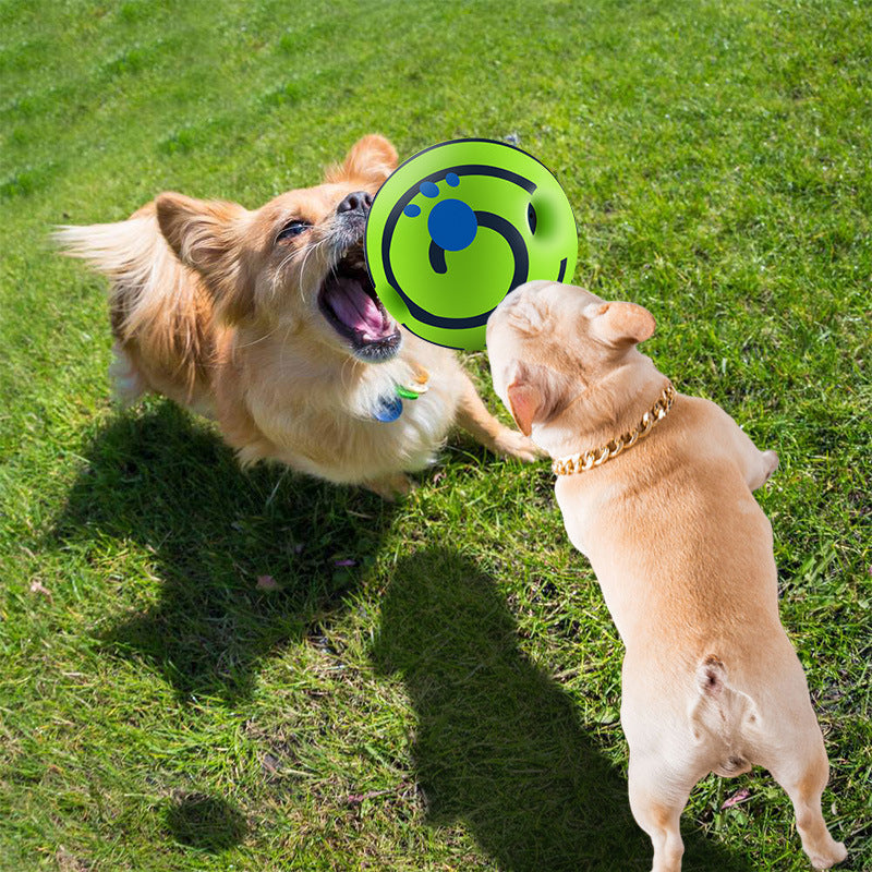 Petz Bola Sonora - o brinquedo estimulante e interativo