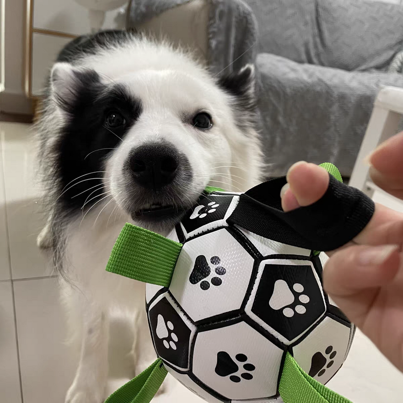 Soccer Ball Petz -  A escolha divertida para o seu cãozinho