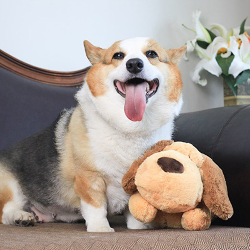 Cachorrinho Amigo - Seu pet sentindo as batidas do coração do seu amiguinho