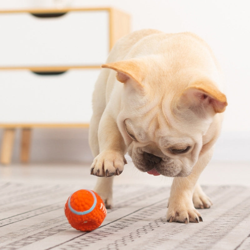 Brinquedo Bola Indestrutível para Pets com Costura Super Reforçada