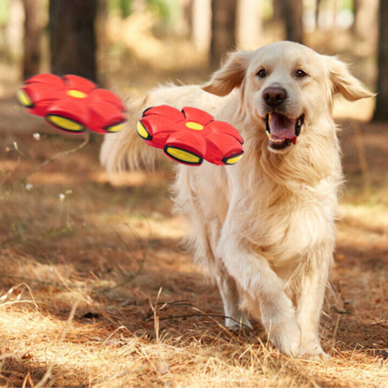 Pet Ball® - A Bola Voadora para seu Pet [COMPRE 1 LEVE 2]