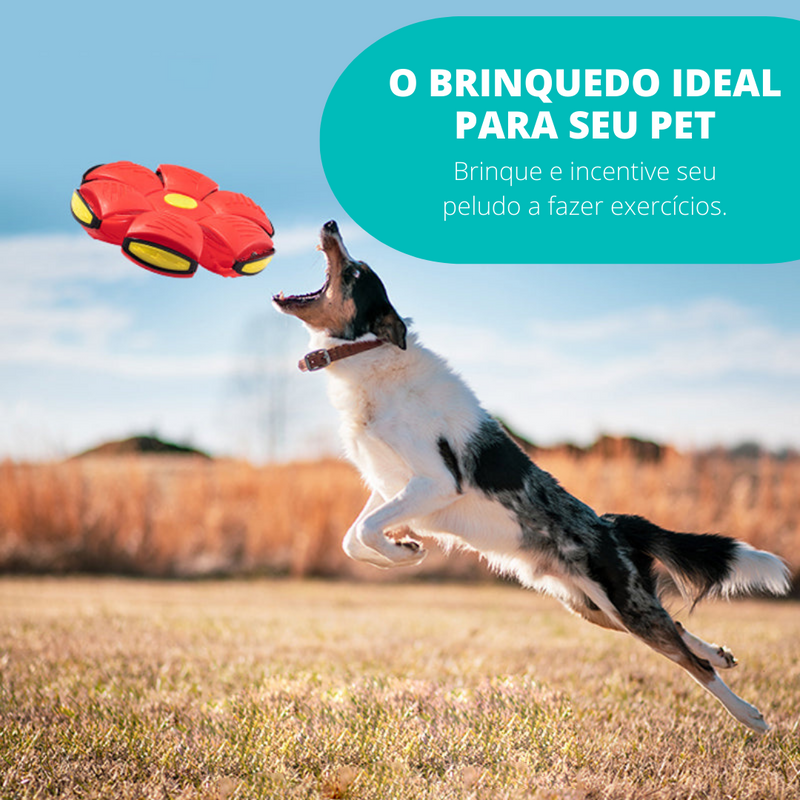 PetBall® Bola Voadora para Cães [COMPRE 1 LEVE 2]