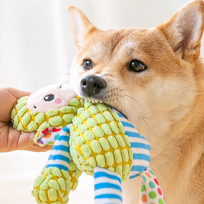 Urso De pelúcia Para Pet Baybow