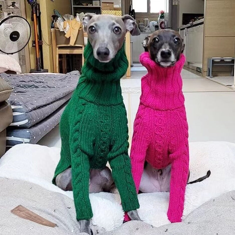 Tricot Pet Whippet