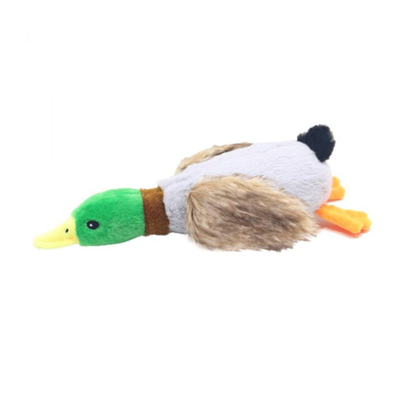 Urso De Pelúcia Para Pets Formato Pato